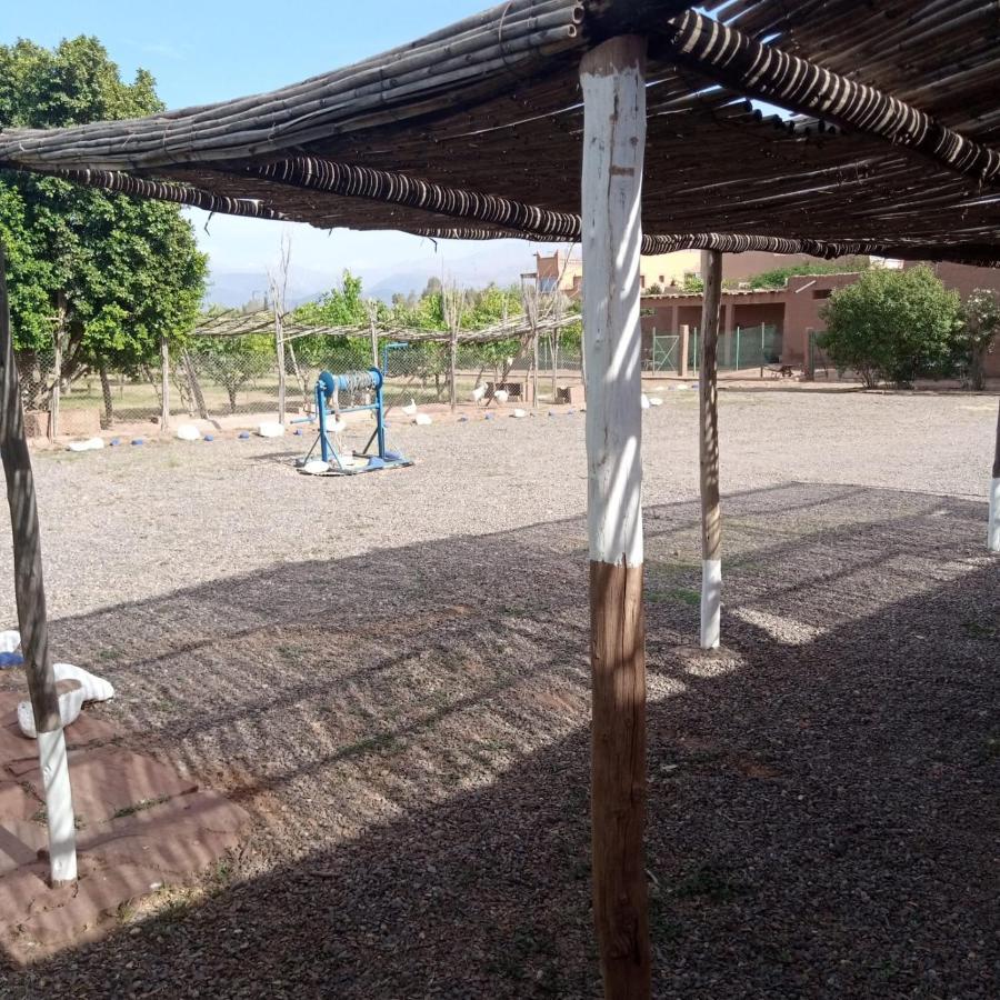 Villa Ferme Berbere Marrakesh Eksteriør billede